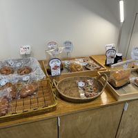   at Rainbow Crust in Busan