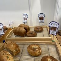   at Rainbow Crust in Busan