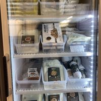   at Rainbow Crust in Busan