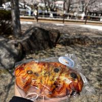 Vegan pizza with tomato sauce, cheese and sausage + olives  at Rainbow Crust in Busan