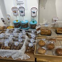   at Rainbow Crust in Busan