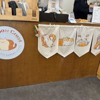   at Rainbow Crust in Busan