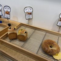   at Rainbow Crust in Busan