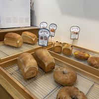   at Rainbow Crust in Busan