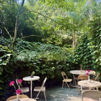 Lindo lugar   at W h o l l y in Medellin