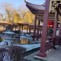  at Meister Xiao in Vienna