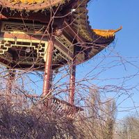  at Meister Xiao in Vienna