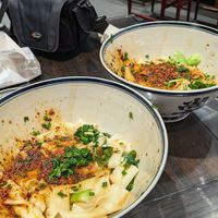Oily noodles at Shangzhai Leizhali Noodle Restaurant - 尚寨嫽扎咧面馆(钟楼店) in Xian