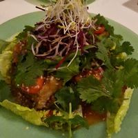 Fried Tofu at F LIFE  in Veldhoven