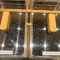 Chocolate   at Awmallev in Rio De Janeiro