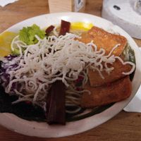 Coriander Inari Madness at Vegan AF Ramen in Brno