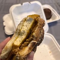   at Hydra Coffeehouse in Rochester