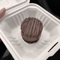   at Hydra Coffeehouse in Rochester