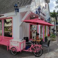 IL Gelato Hawaii at Il Gelato Hawaii in Honolulu