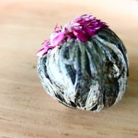 Blooming flower tea at SignatureThai Café & Tea House Restaurant in Krabi