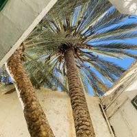 Outdoor seating  at EL Jardín Secreto Arrecife in Lanzarote