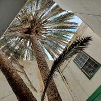  at EL Jardín Secreto Arrecife in Lanzarote