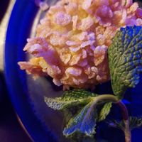 Tofu flakes at Akimy in Munich