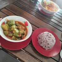 Eggplant curry and rice at Free Bird Cafe Pai in Pai