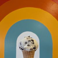 Double Vanilla Cookies + Cream at Luna's Ice Cream in Milwaukie