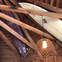 Surfboards on the ceiling. at Papas and Pollos in Sebastopol