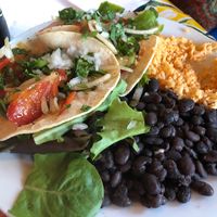 Vegetarian tacos without dairy at Papas and Pollos in Sebastopol