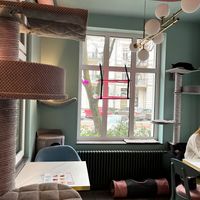  at Koci Zakątek Cafe in Szczecin