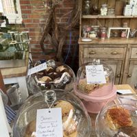   at Braxton Gardens and Tea Rooms in Lymington