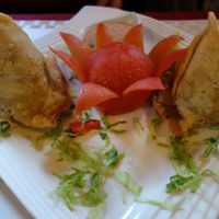 Sambosa (2 dumplings filled with spiced potatoes and peas) (vegan) at Weissberg Restaurant in Saarbrucken
