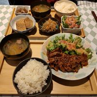  at Silver Backs Cafe in Kyoto