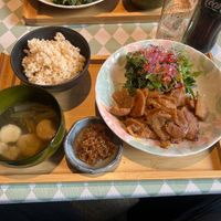  at Silver Backs Cafe in Kyoto