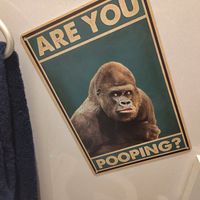  at Silver Backs Cafe in Kyoto