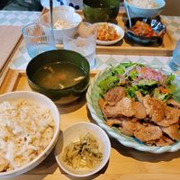  at Silver Backs Cafe in Kyoto