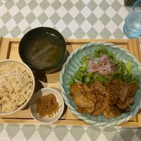   at Silver Backs Cafe in Kyoto