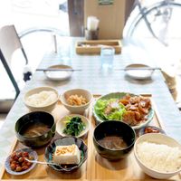   at Silver Backs Cafe in Kyoto