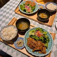  at Silver Backs Cafe in Kyoto