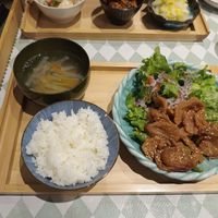  at Silver Backs Cafe in Kyoto