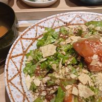 Tacco rice bowl at Silver Backs Cafe in Kyoto