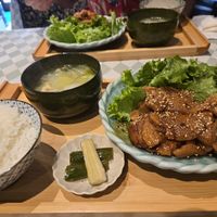 Soy Meat Set at Silver Backs Cafe in Kyoto