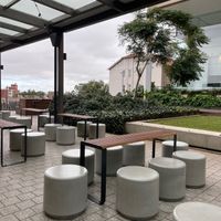  at Ballsy Tea in North Sydney