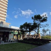 Great location at Ballsy Tea in North Sydney