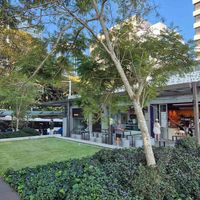 Great location at Ballsy Tea in North Sydney
