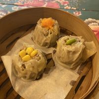 Dim summ  at Isso in Kamakura