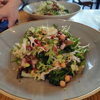 Spring green salad at The Bull's Head Inn in Beaumaris