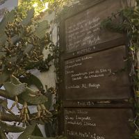   at Bodega Santa Barbara in Lanzarote