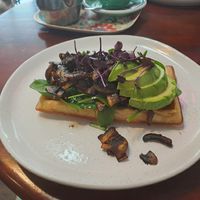 Savoury waffle - truffle mushroom, spinach, avocado at Roots Waffle Cafe in Taupo