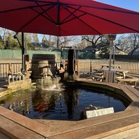 Outdoor area in back.   at Mode Brewing & Kitchen in Orangevale