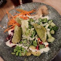 Vegane gyoza Bowl (ohne Reis) 🍚 at ALEX in Chemnitz