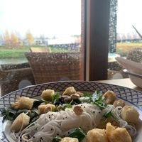 Vegan, gluten free tofu balls, stir fry and noodles  at Hall & Woodhouse in Swindon