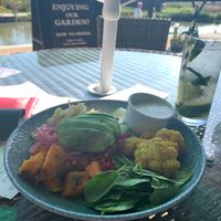 Buddha bowl, vegan gluten free  at Hall & Woodhouse in Swindon